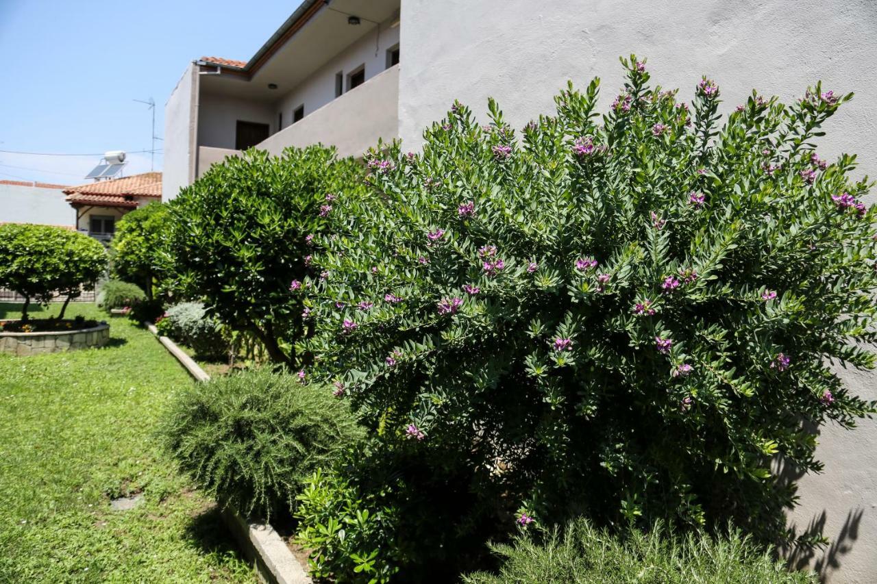 Apartment Yannis *